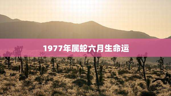 1977年属蛇六月生命运