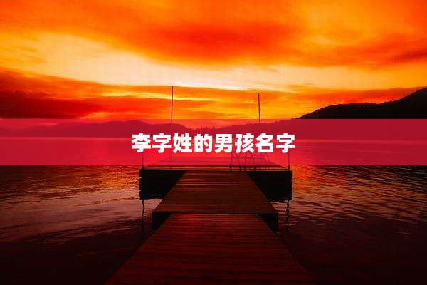 李字姓的男孩名字