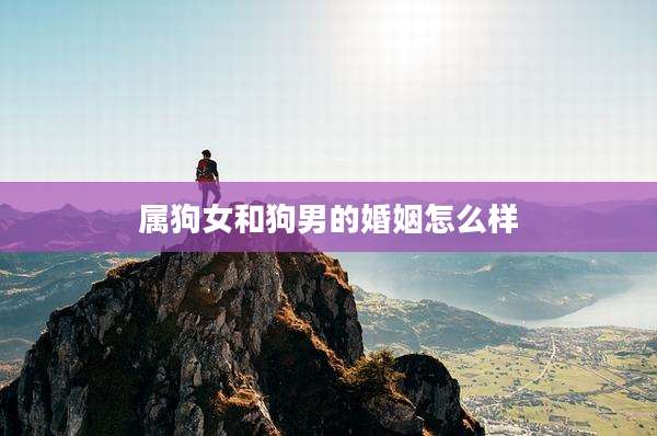 属狗女和狗男的婚姻怎么样