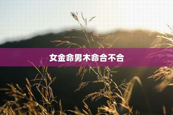 女金命男木命合不合