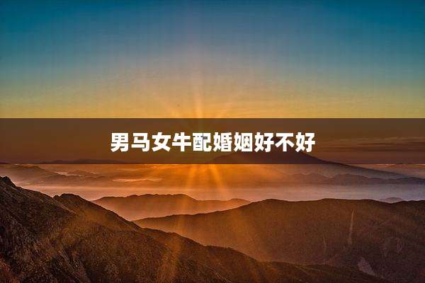 男马女牛配婚姻好不好