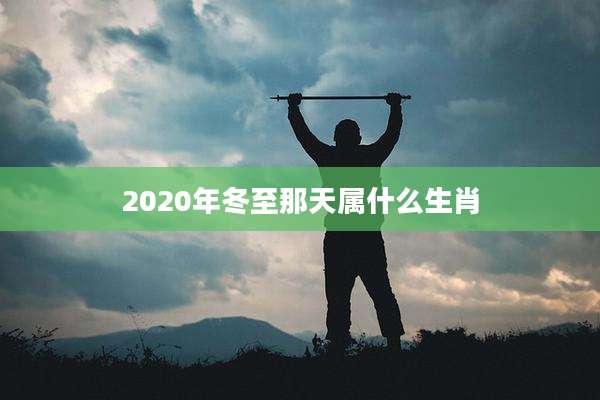 2020年冬至那天属什么生肖
