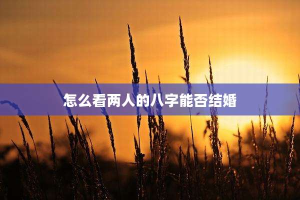 怎么看两人的八字能否结婚