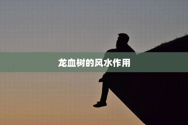 龙血树的风水作用