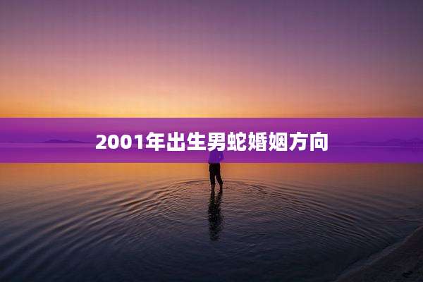 2001年出生男蛇婚姻方向