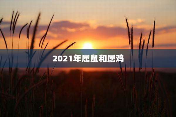 2021年属鼠和属鸡