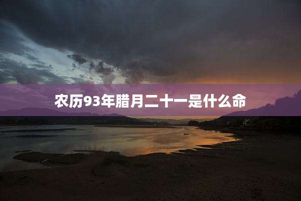 农历93年腊月二十一是什么命