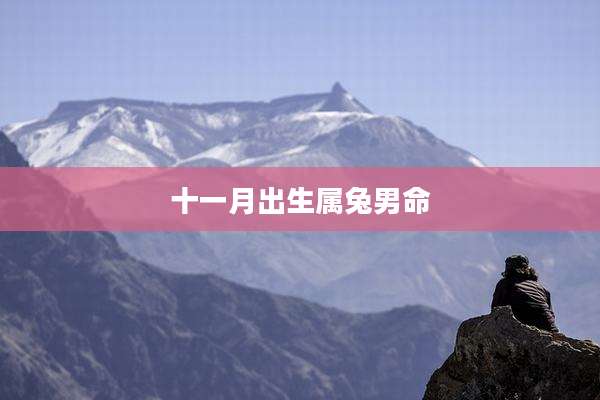 十一月出生属兔男命