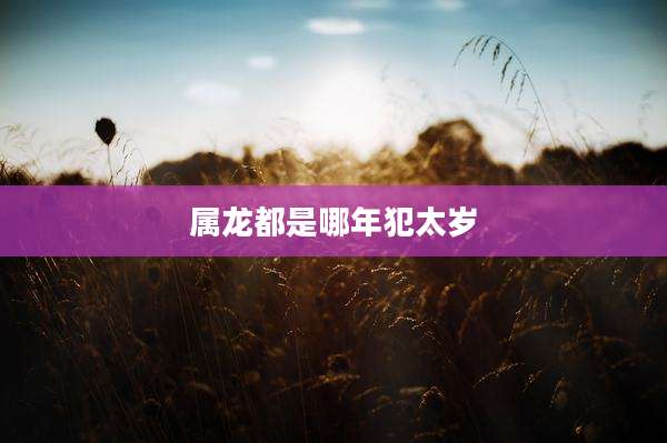 属龙都是哪年犯太岁