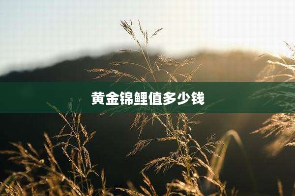 黄金锦鲤值多少钱