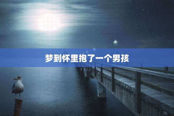 梦到怀里抱了一个男孩