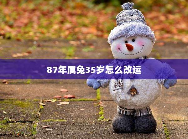 87年属兔35岁怎么改运