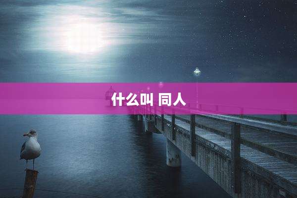 什么叫 同人