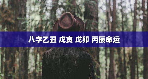 八字乙丑 戊寅 戊卯 丙辰命运