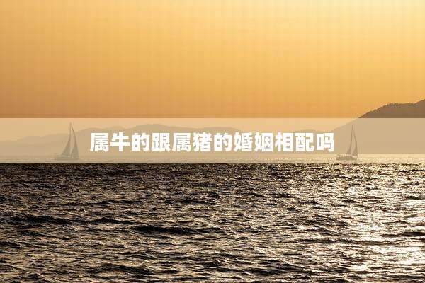 属牛的跟属猪的婚姻相配吗