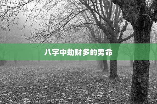 八字中劫财多的男命