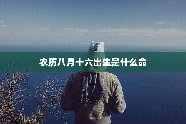 农历八月十六出生是什么命