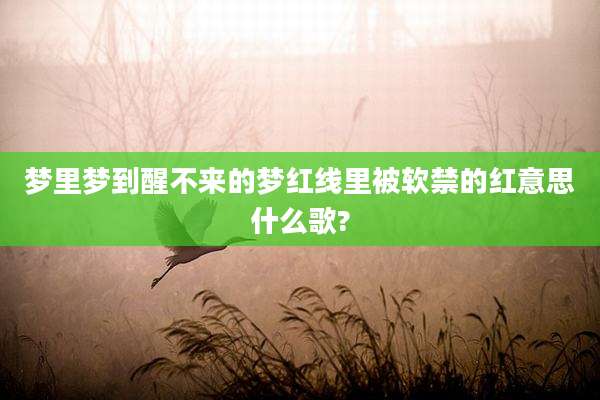 梦里梦到醒不来的梦红线里被软禁的红意思什么歌?