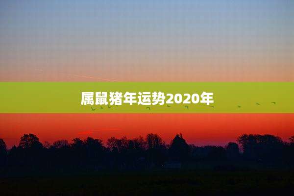 属鼠猪年运势2020年