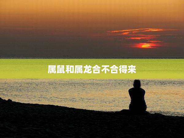 属鼠和属龙合不合得来