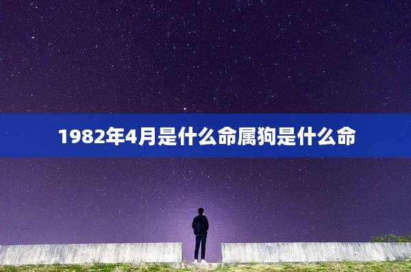 1982年4月是什么命属狗是什么命