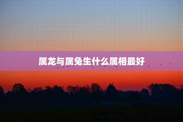 属龙与属兔生什么属相最好