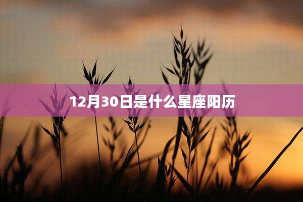 12月30日是什么星座阳历