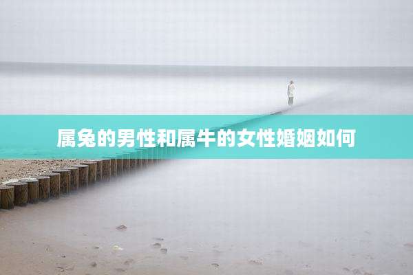 属兔的男性和属牛的女性婚姻如何