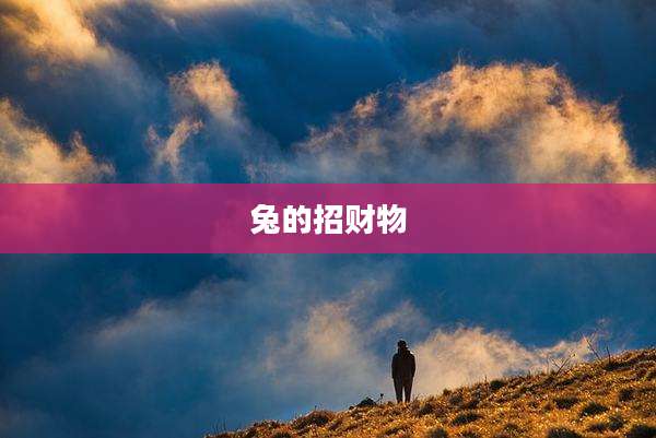 兔的招财物