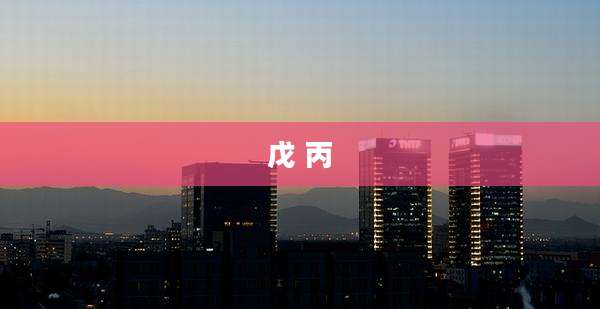 戊 丙