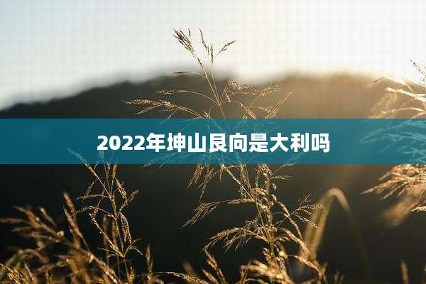 2022年坤山艮向是大利吗