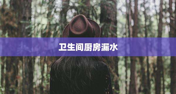 卫生间厨房漏水