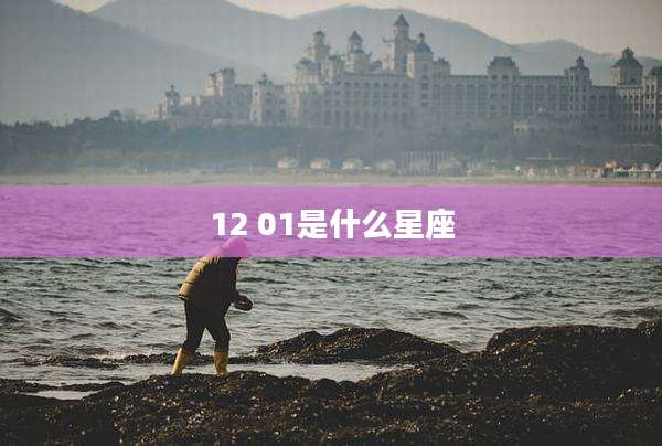 12 01是什么星座