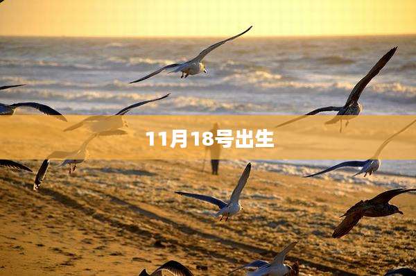 11月18号出生
