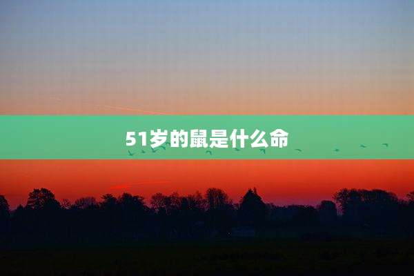 51岁的鼠是什么命