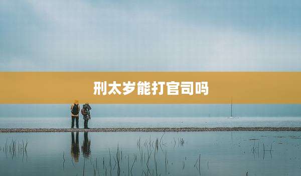 刑太岁能打官司吗