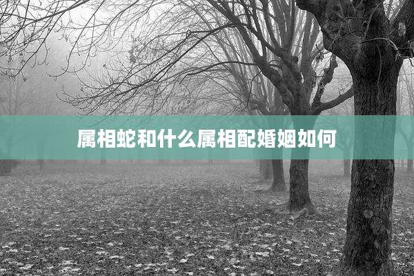 属相蛇和什么属相配婚姻如何