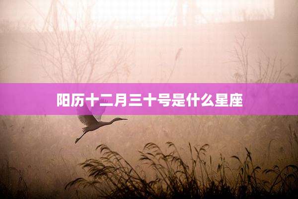 阳历十二月三十号是什么星座