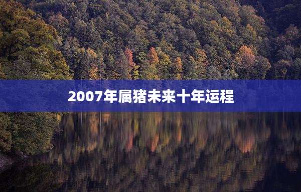 2007年属猪未来十年运程