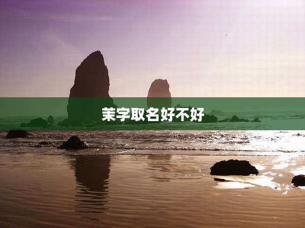 茉字取名好不好