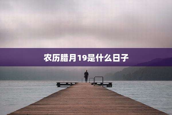 农历腊月19是什么日子