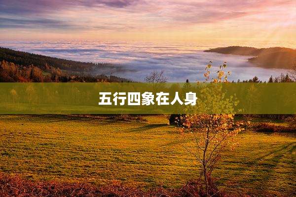 五行四象在人身