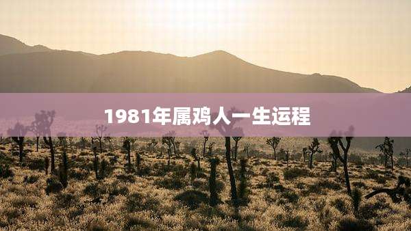 1981年属鸡人一生运程