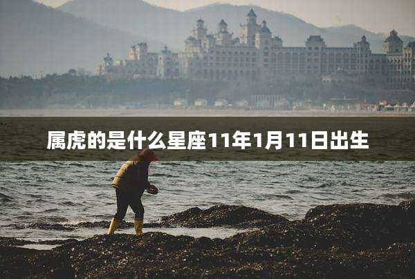 属虎的是什么星座11年1月11日出生