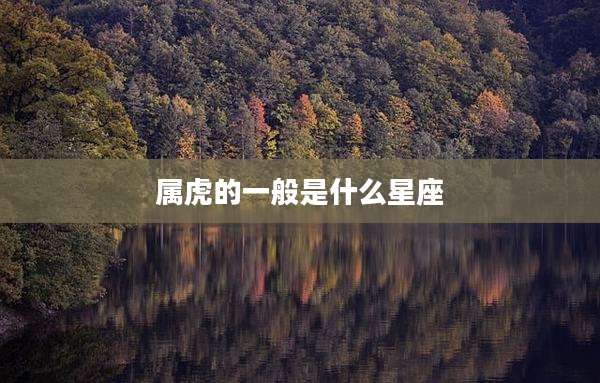 属虎的一般是什么星座