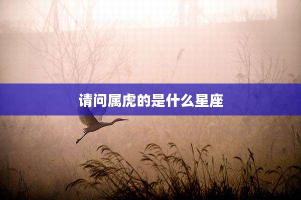 请问属虎的是什么星座