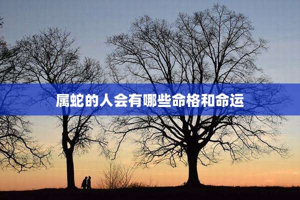 属蛇的人会有哪些命格和命运