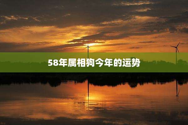 58年属相狗今年的运势