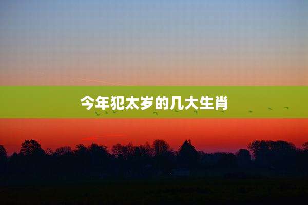 今年犯太岁的几大生肖