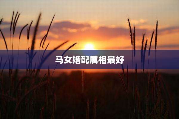 马女婚配属相最好